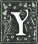 The letter Y